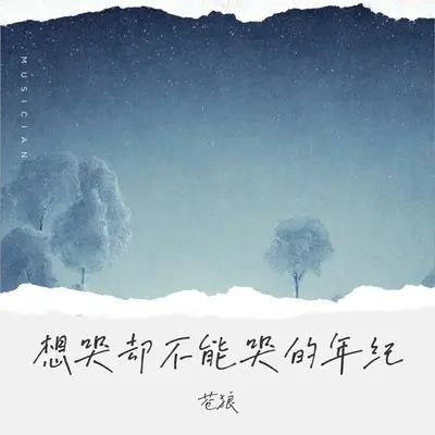 想哭却不能哭的年纪封面