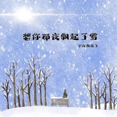 想你那夜飘起了雪封面