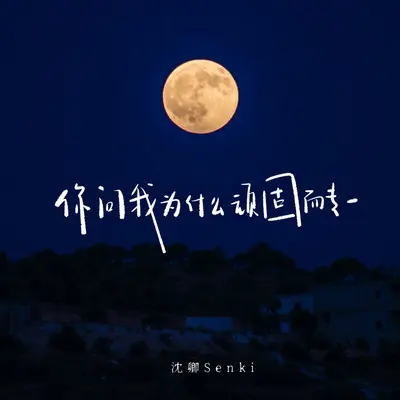 你问我为什么顽固而专一 - 沈卿Senki封面