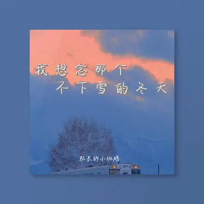 我想念那个不下雪的冬天封面