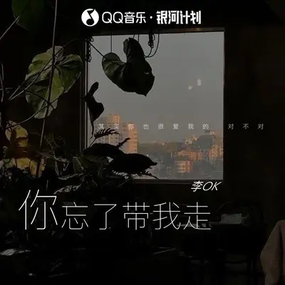 你忘了带我走 - 李OK封面