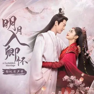 月儿明(《明月入卿怀》影视剧片头曲)封面