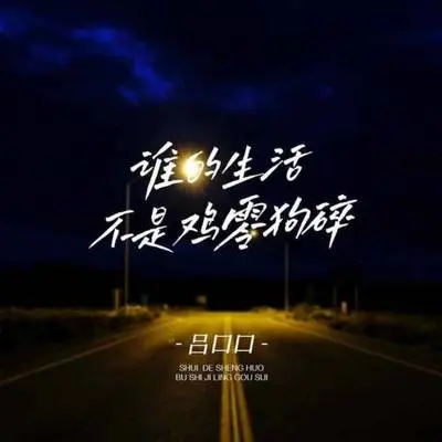 谁的生活不是鸡零狗碎(吕口口版)封面