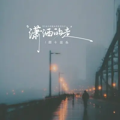 潇洒的走封面