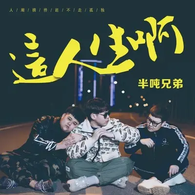 这人生啊 (0.8降速版) - 半吨兄弟封面
