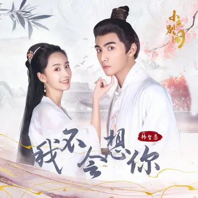 我不会想你（《小主别闹》网剧插曲） - 韩智愚封面
