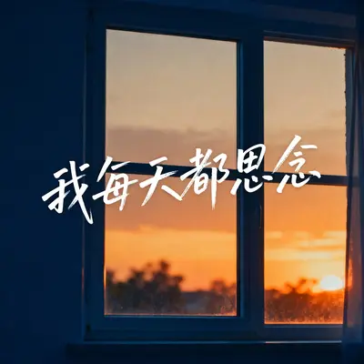 我每天都思念封面