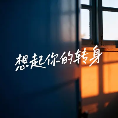 想起你的转身封面