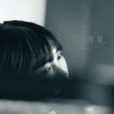 不说再见封面