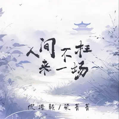 人间不枉来一场（DJ加速版）封面
