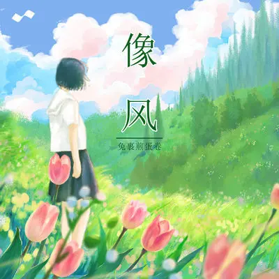像风(伴奏)封面