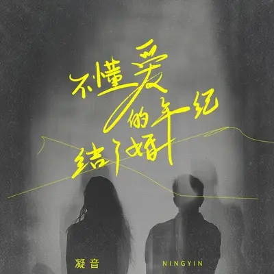 不懂爱的年纪结了婚(伴奏) - 凝音封面