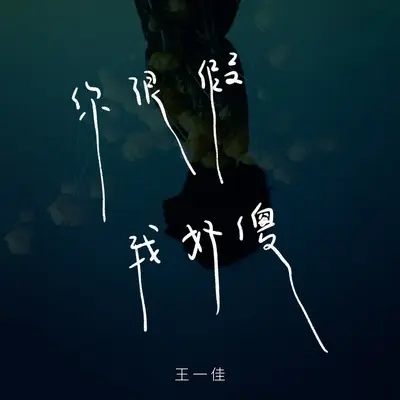 你很假我好傻(伴奏)封面