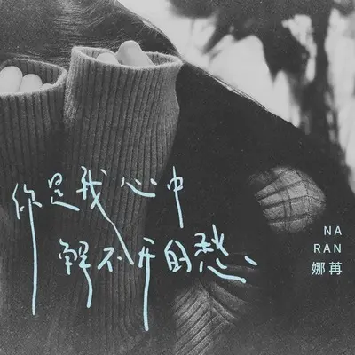 你是我心中解不开的愁(伴奏)封面