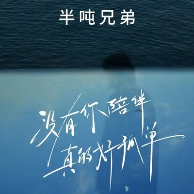 没有你陪伴真的好孤单 (伴奏)封面