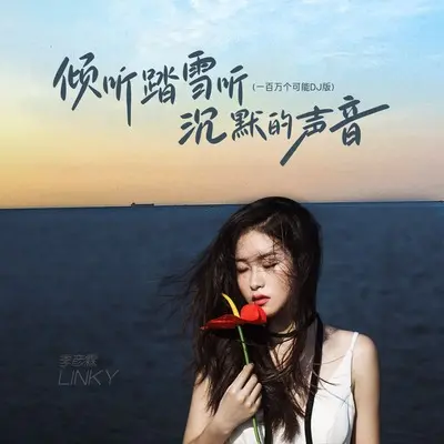 倾听踏雪听沉默的声音(一百万个可能DJ版伴奏) - 季彦霖封面