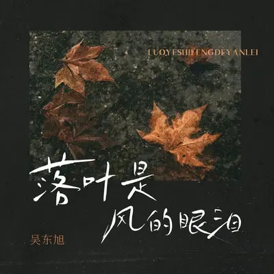 落叶是风的眼泪(伴奏)封面