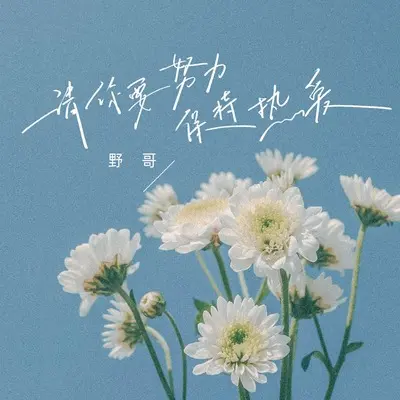 请你要努力保持热爱(伴奏) - 野哥封面