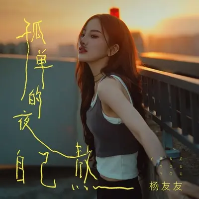 孤单的夜自己熬(伴奏)封面