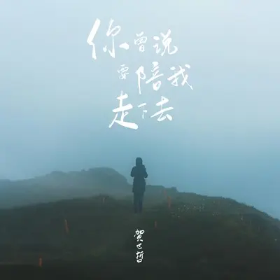 你曾说要陪我走下去(伴奏)封面