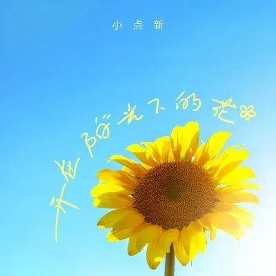 开在阳光下的花(伴奏)封面