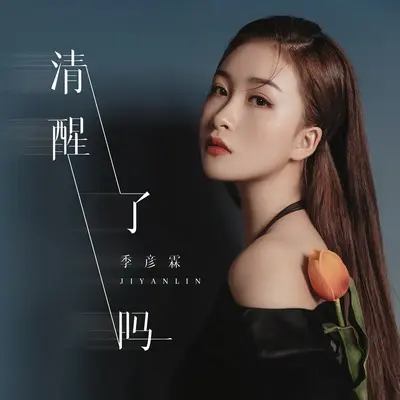 清醒了吗(伴奏) - 季彦霖封面