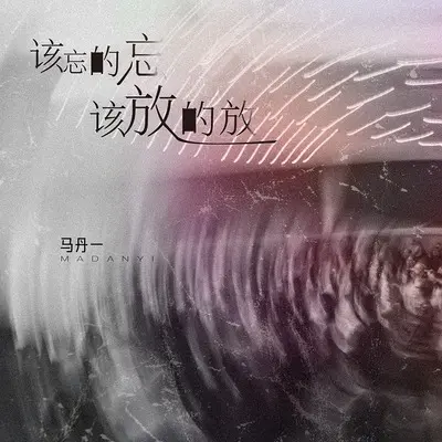 该忘的忘该放的放(DJ版伴奏)封面