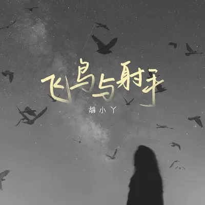 飞鸟与射手(DJ默涵版伴奏)封面