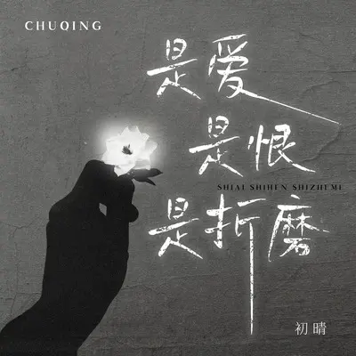 是爱是恨是折磨(伴奏)封面