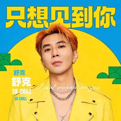 只想见到你封面
