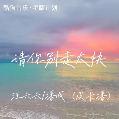 请你别走太快(伴奏)封面