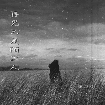 再见只是陌生人(伴奏)封面