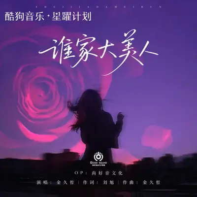 谁家大美人(DJ阿雪剪辑版)封面