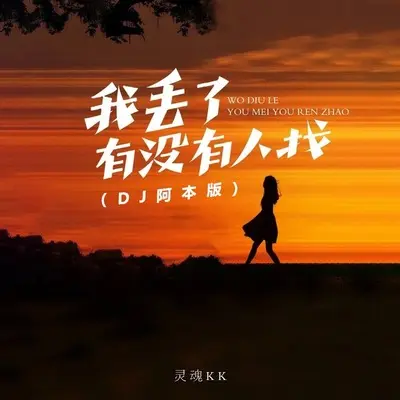 我丢了有没有人找(DJ阿本版伴奏)封面