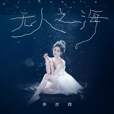 无人之海(DJ九零版伴奏)封面