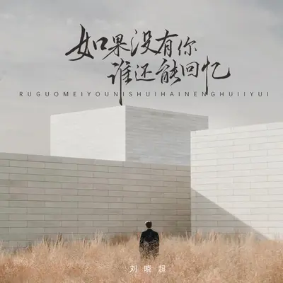 如果没有你谁还能有回忆封面