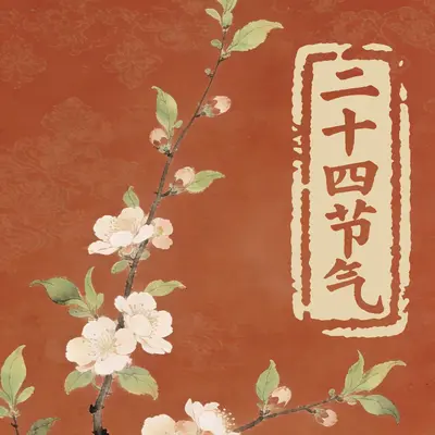 立春封面