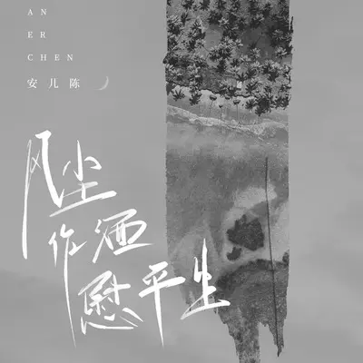 风尘作酒慰平生(DJ彭锐版伴奏)封面
