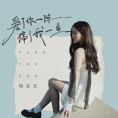 爱了你一阵痛了我一生(伴奏) - 杨友友封面