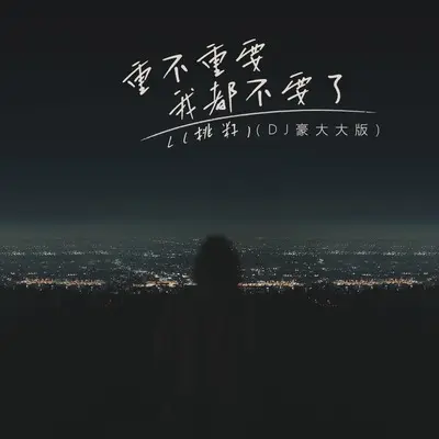 重不重要我都不要了(DJ豪大大版伴奏)封面
