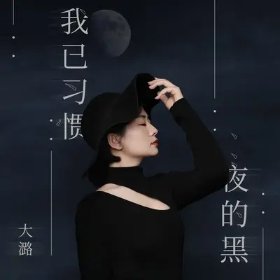 我已习惯夜的黑(伴奏) - 大潞封面