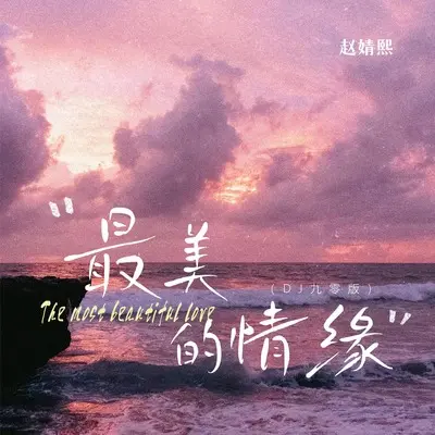 最美的情缘(DJ九零版伴奏)封面