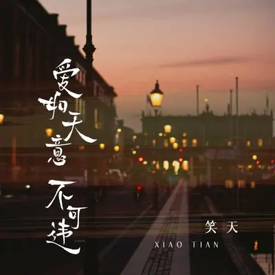 爱如天意不可违(DJ默涵版伴奏)封面
