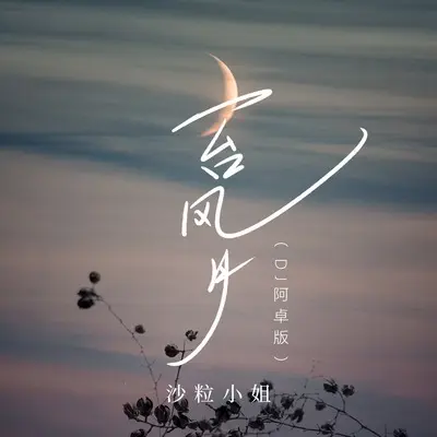 一台风月(DJ阿卓版伴奏)封面