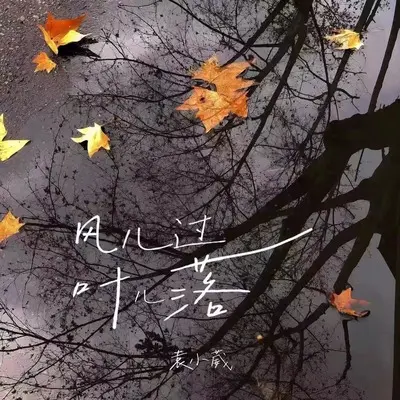 风儿过叶儿落(伴奏)封面
