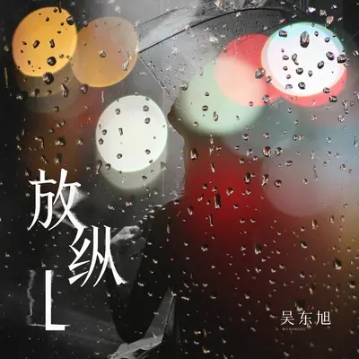 放纵L(DJ九零版伴奏)封面