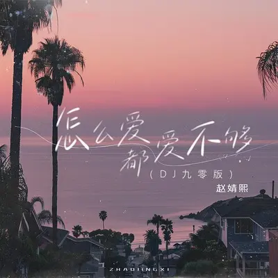 怎么爱都爱不够(DJ九零版伴奏)封面