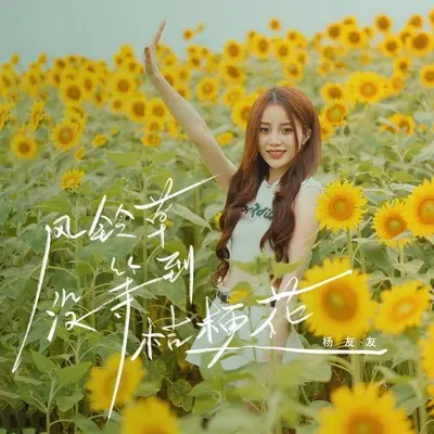 风铃草没等到桔梗花(DJ九零版伴奏)封面