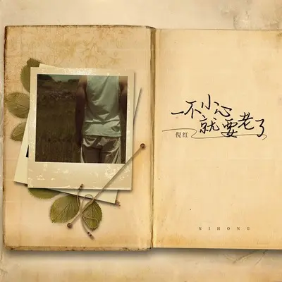 一不小心就要老了(DJ九零版伴奏)封面