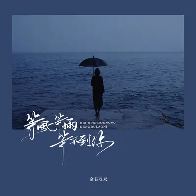 等风等雨等不到你（剪辑版）封面